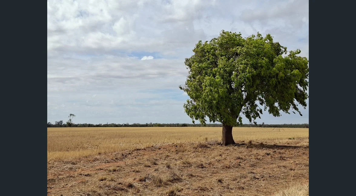 Additional image 23 of Alloway, Gilgandra NSW 2827