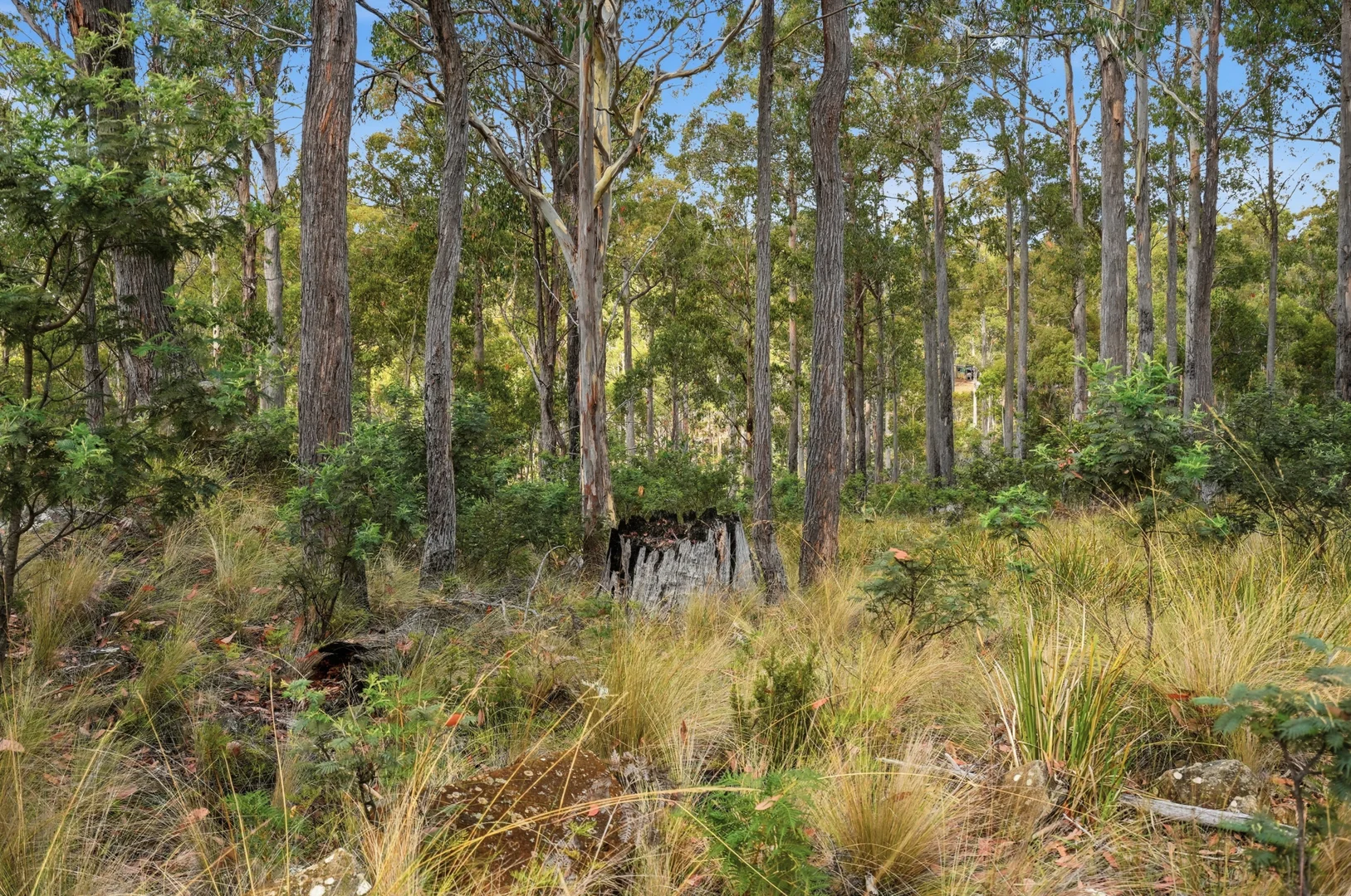 Additional image 7 of 18 Little Spit Road, Lake Leake TAS 7210
