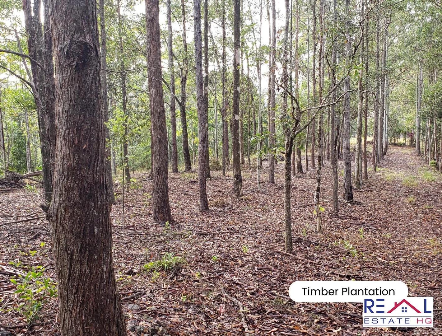 Additional image 31 of 45 Hatfield Road, Eerwah Vale QLD 4562