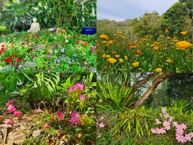 Additional image 30 of 83/265 Martin Road, Larnook NSW 2480