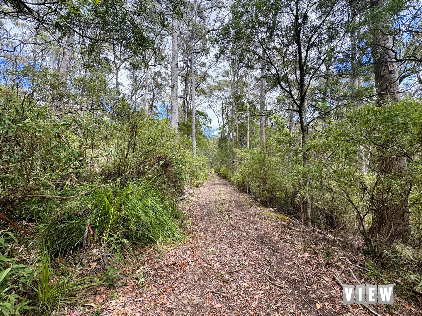 520 German Town Road, St Marys TAS 7215