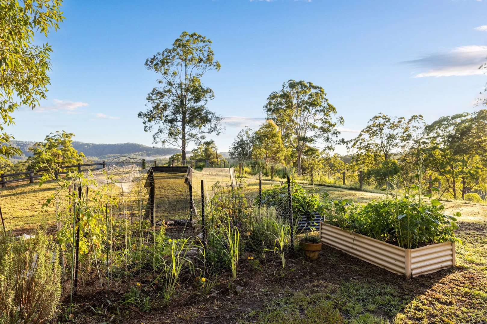 Additional image 32 of 141 Martells Road, Bellingen NSW 2454