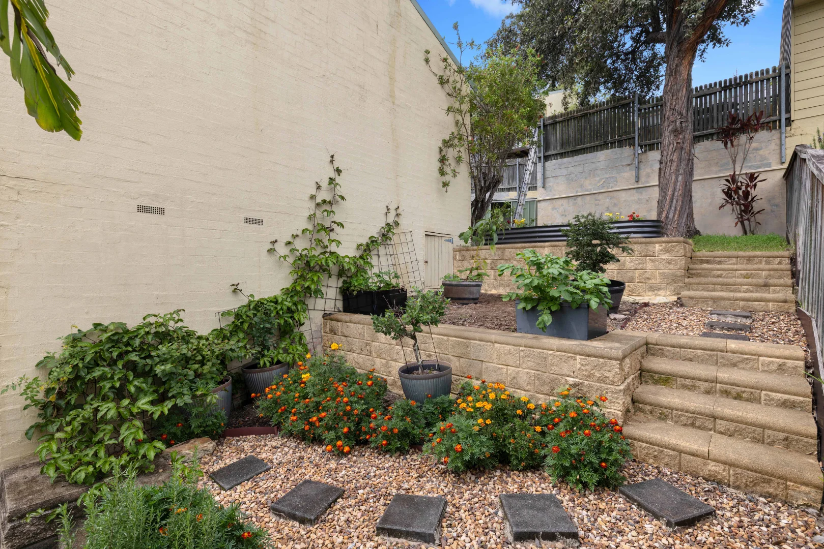 Additional image 5 of 15/10 Playfair Road, Mount Colah NSW 2079