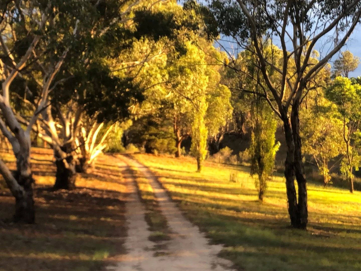 22 Bluff River Road, Tenterfield NSW 2372