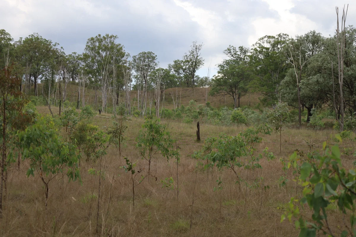 Additional image 17 of 479 Pine Mountain Creek Road, Monto QLD 4630