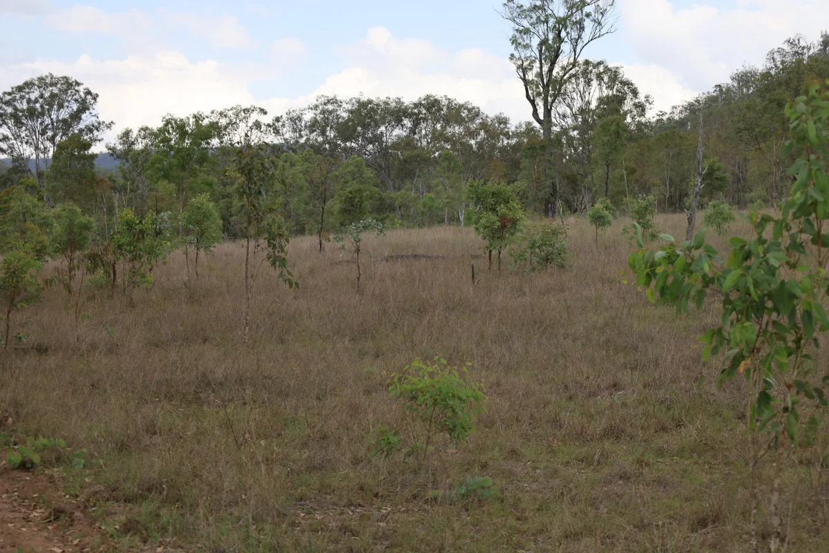 Additional image 10 of 479 Pine Mountain Creek Road, Monto QLD 4630