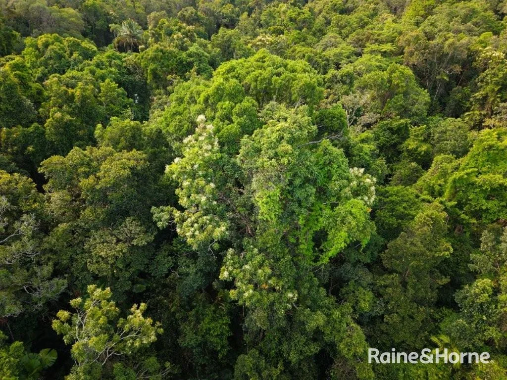 Additional image 27 of Lot 11 Milky Pine Road, Kimberley, Daintree QLD 4873
