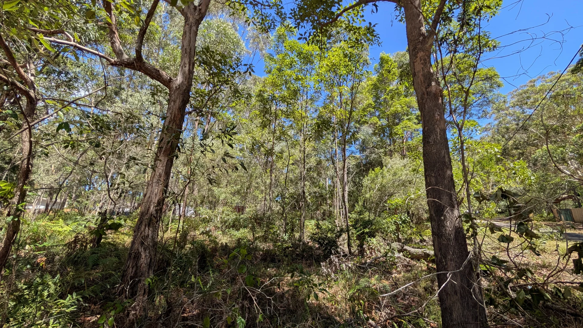 Additional image 3 of 2 Swan Parade, Russell Island QLD 4184