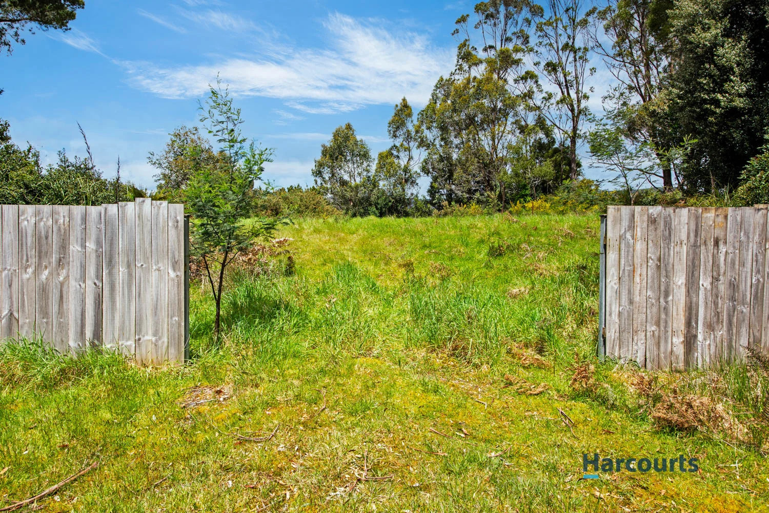 Additional image 4 of 15 Adams Street, Zeehan TAS 7469