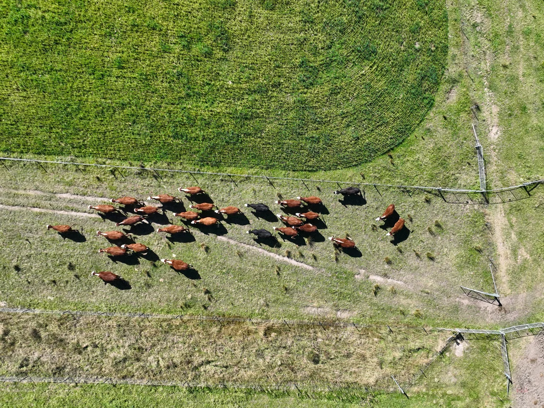 Additional image 20 of 710 Inverary Road, Paddys River NSW 2577