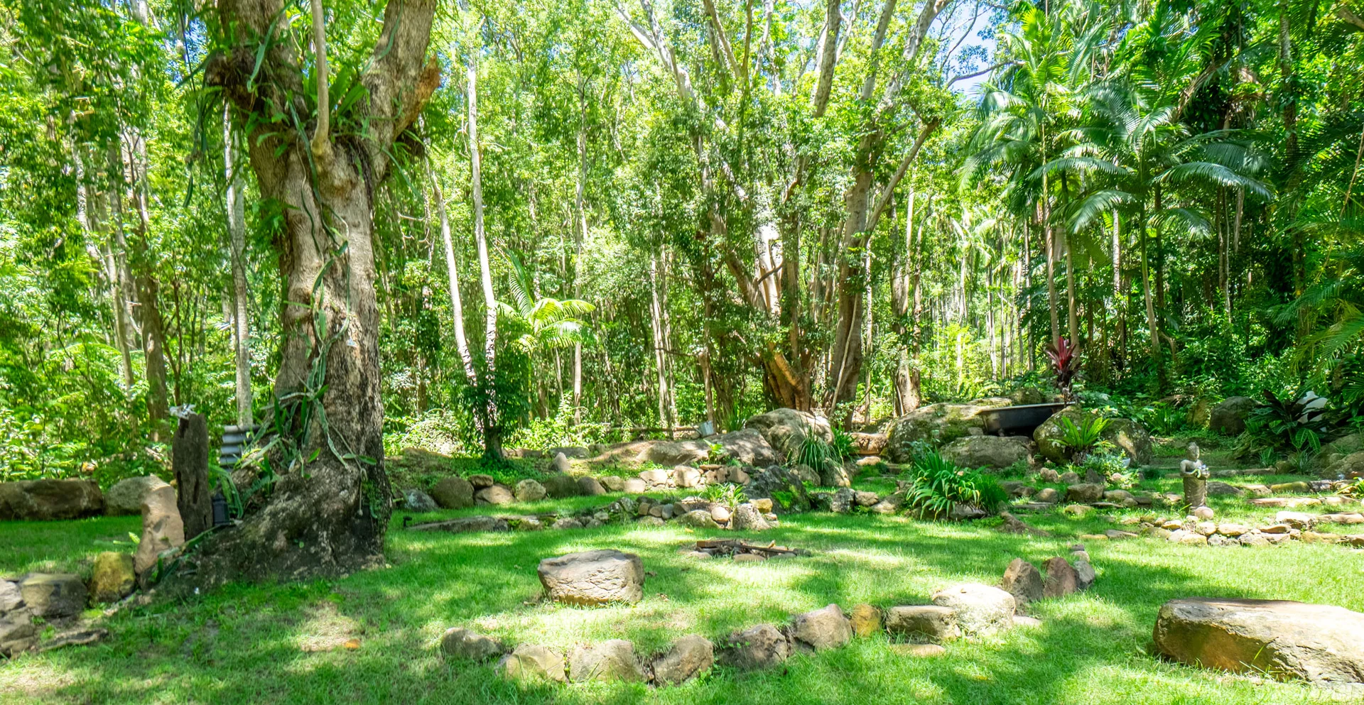 Additional image 34 of 771 Left Bank Road, Mullumbimby Creek NSW 2482