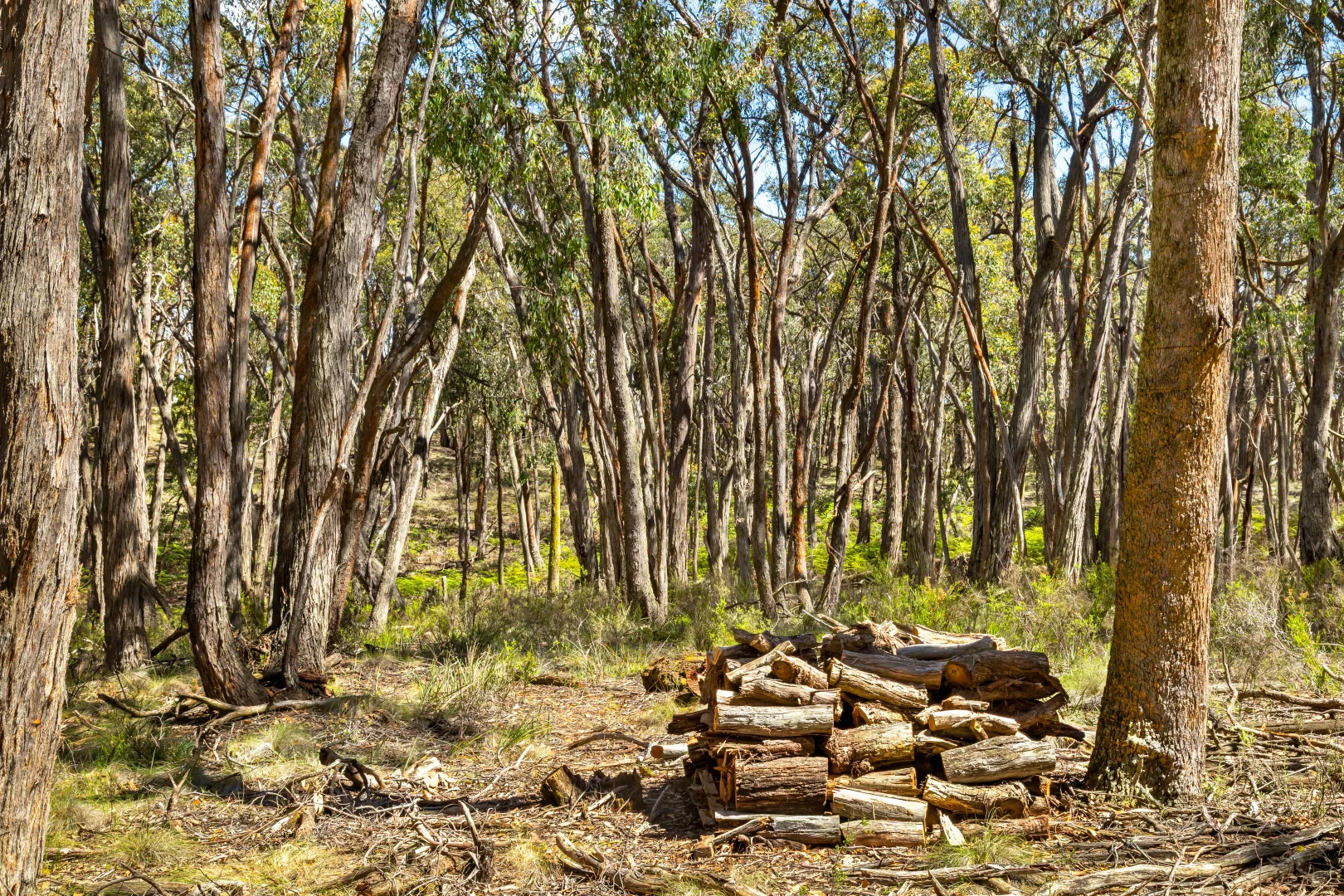 Additional image 7 of Lot 12 Rowlers Road, Snake Valley VIC 3351