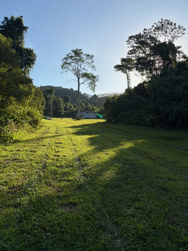 252 Jackson Road, Shell Pocket QLD 4855