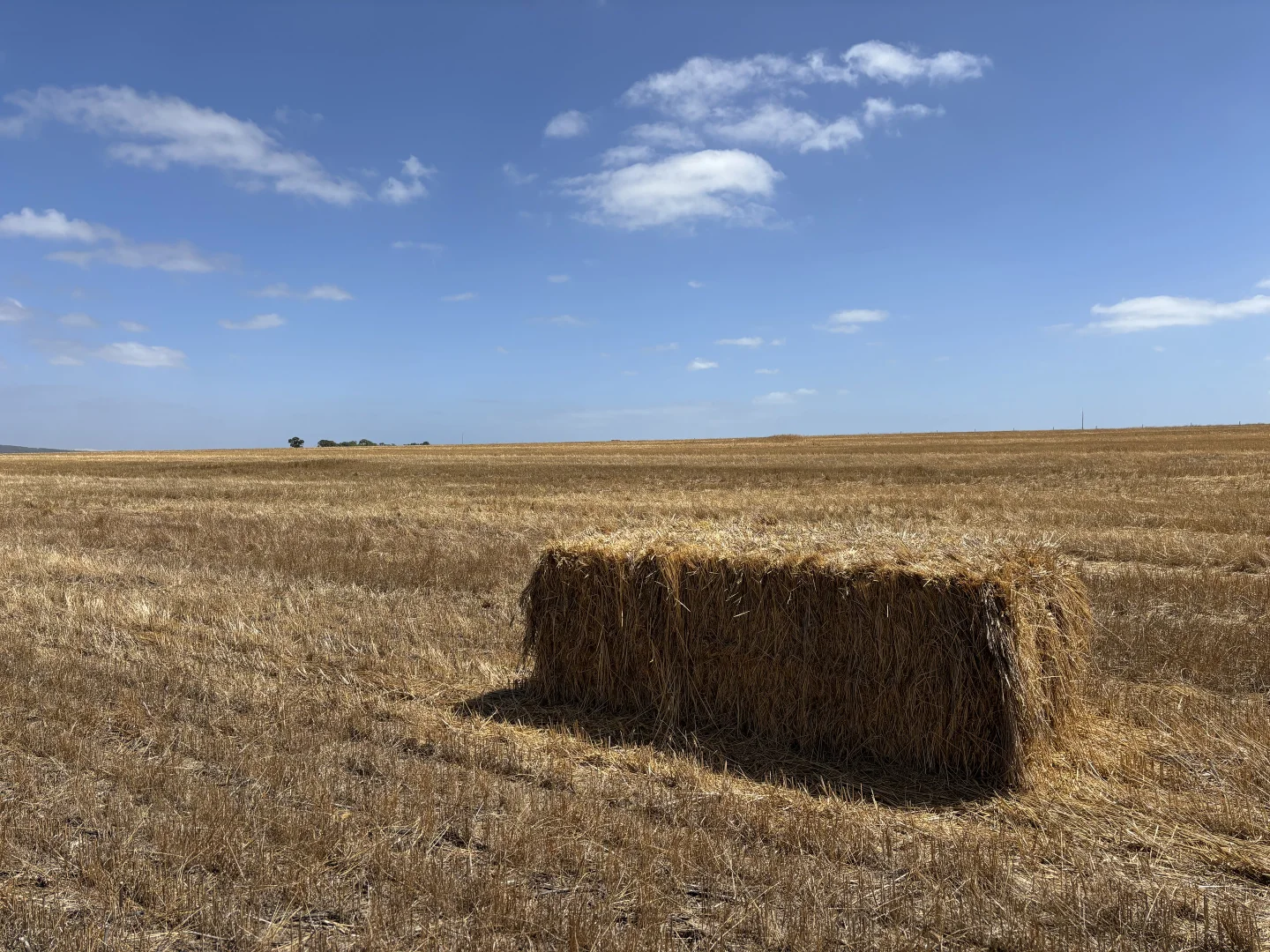 Additional image 9 of 205 Settlers Road, Wangary SA 5607