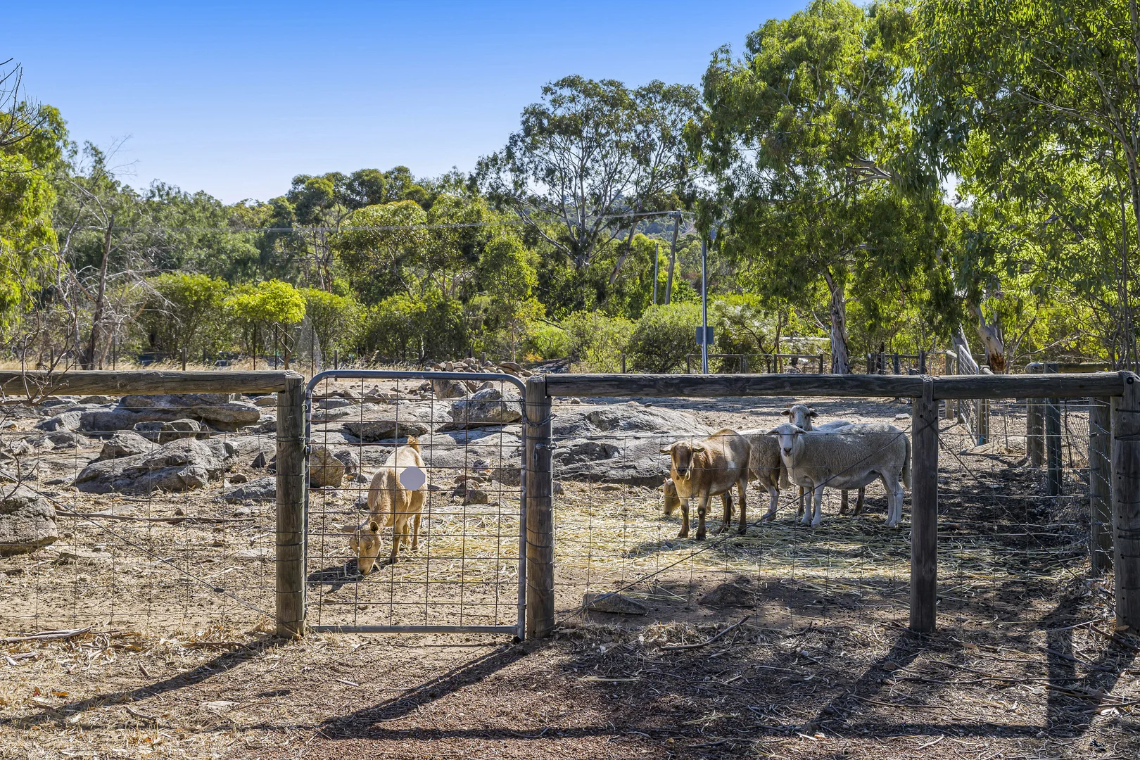 Additional image 23 of 18 Evelyn Place, Bullsbrook WA 6084