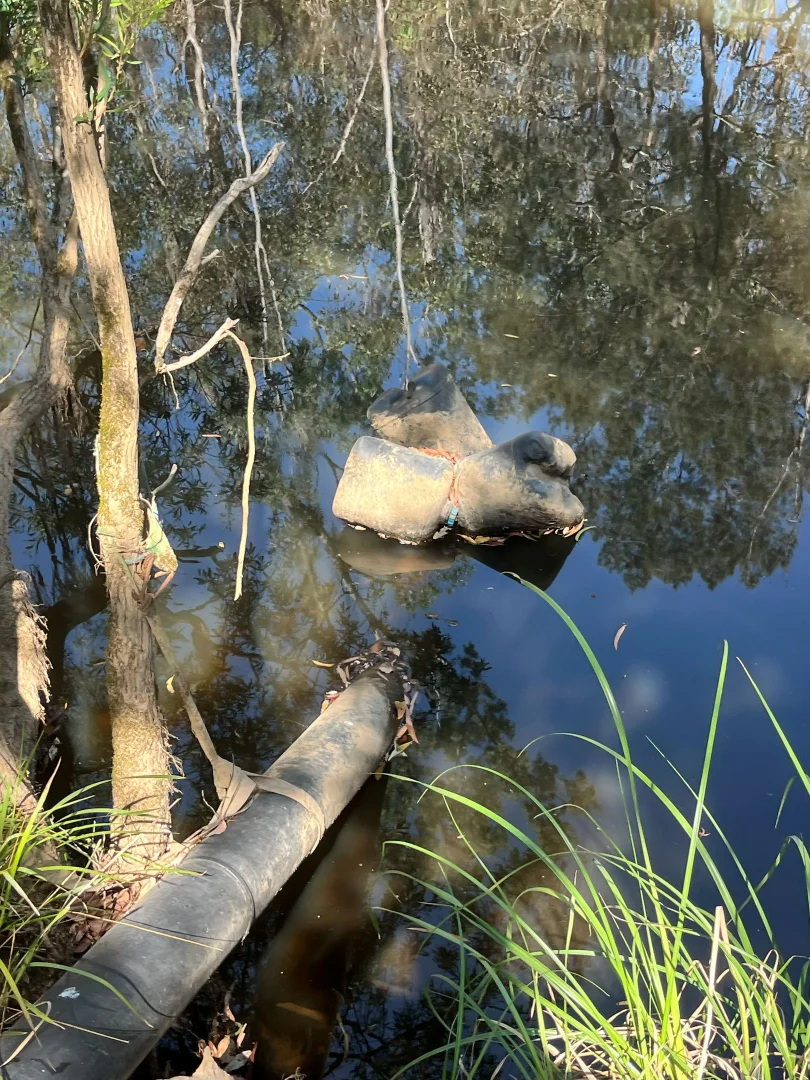 Additional image 44 of Blunder Park Station 382 Blunder Park Road, Ravenshoe QLD 4888