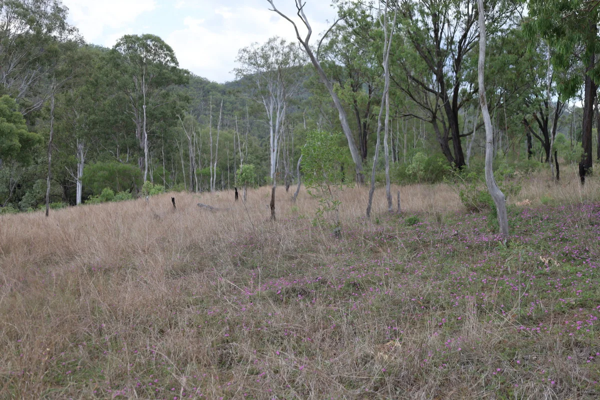 Additional image 15 of 479 Pine Mountain Creek Road, Monto QLD 4630