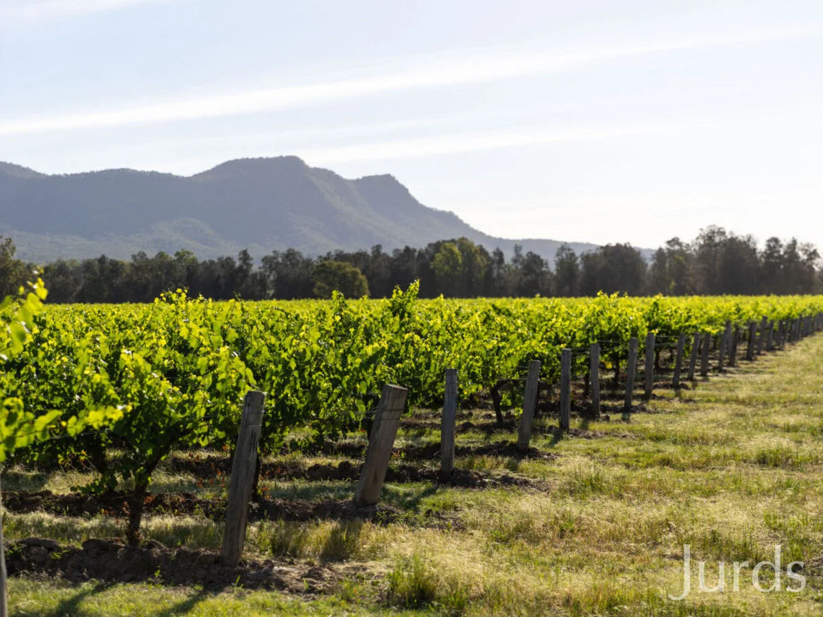 Additional image 5 of 2/DP707940 Hermitage Road, Pokolbin NSW 2320