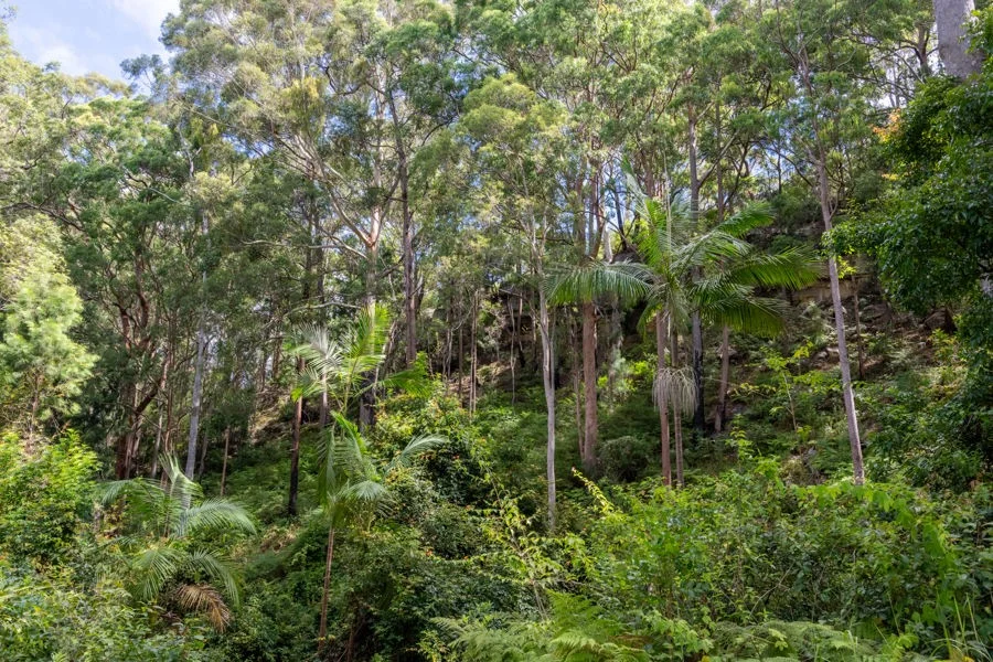 Additional image 8 of 1458 Sherwood Creek Road, Sherwood NSW 2450