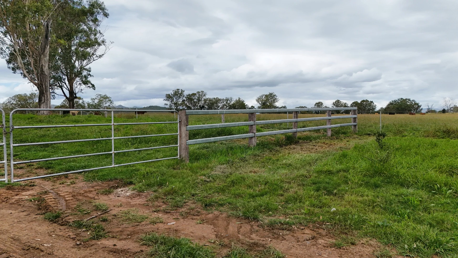 Additional image 14 of 288 Round Mountain Road, Laravale QLD 4285