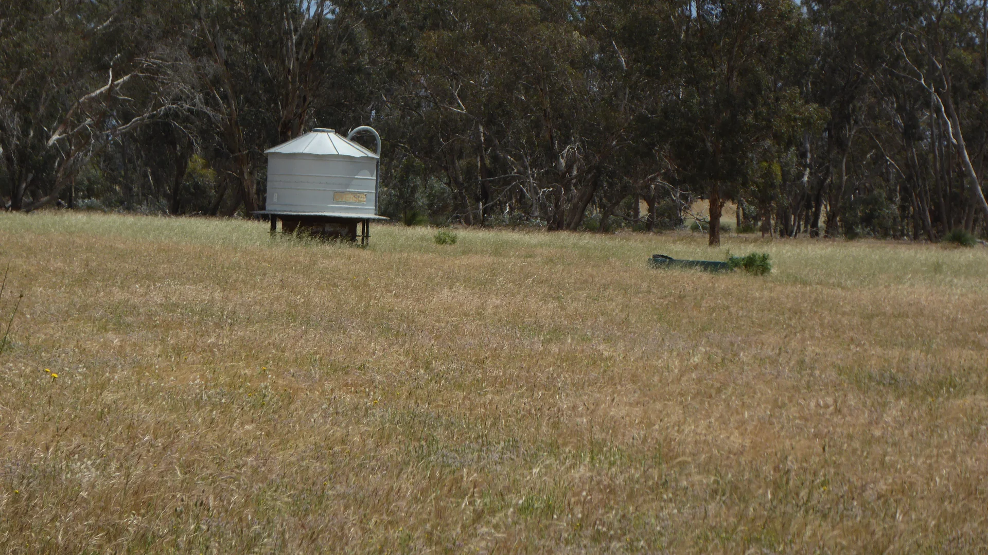 Additional image 11 of Lot 1 Walkington Hills Road, Frances SA 5262