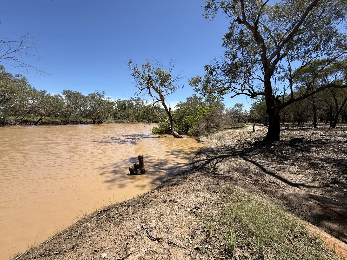 Additional image 33 of 1684 Diamantina Developmental Road, Charleville QLD 4470