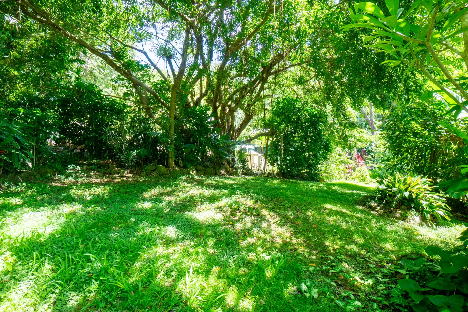 Additional image 30 of 771 Left Bank Road, Mullumbimby Creek NSW 2482