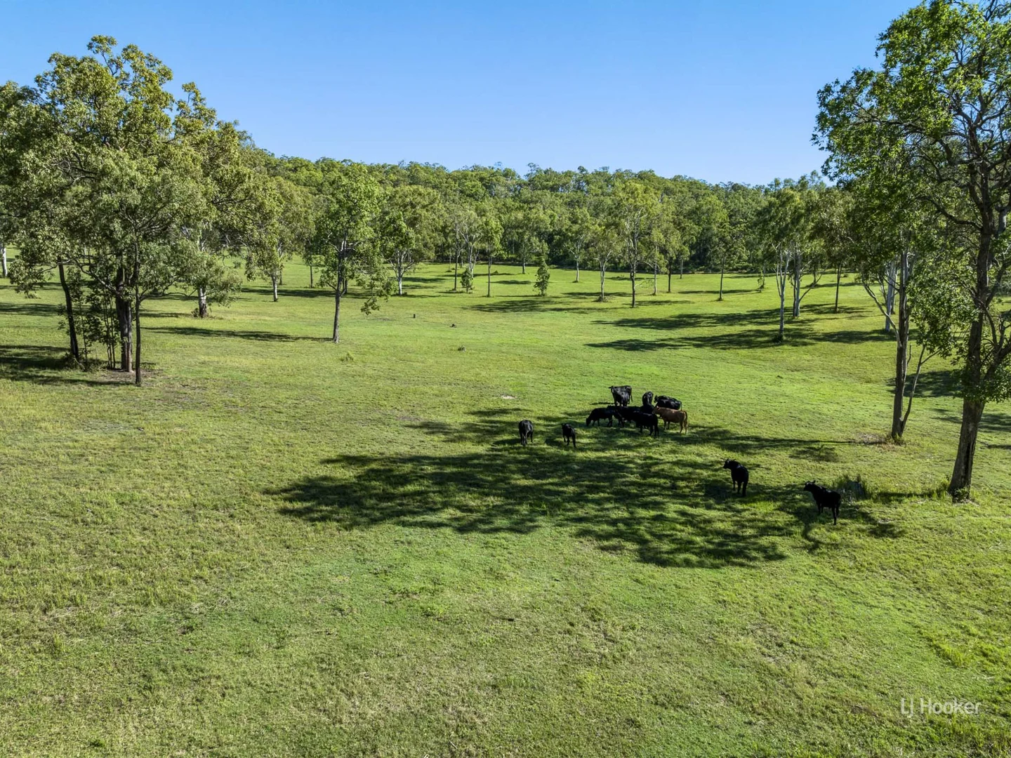 Additional image 18 of 870 Esk Hampton Rd, Redbank Creek QLD 4312