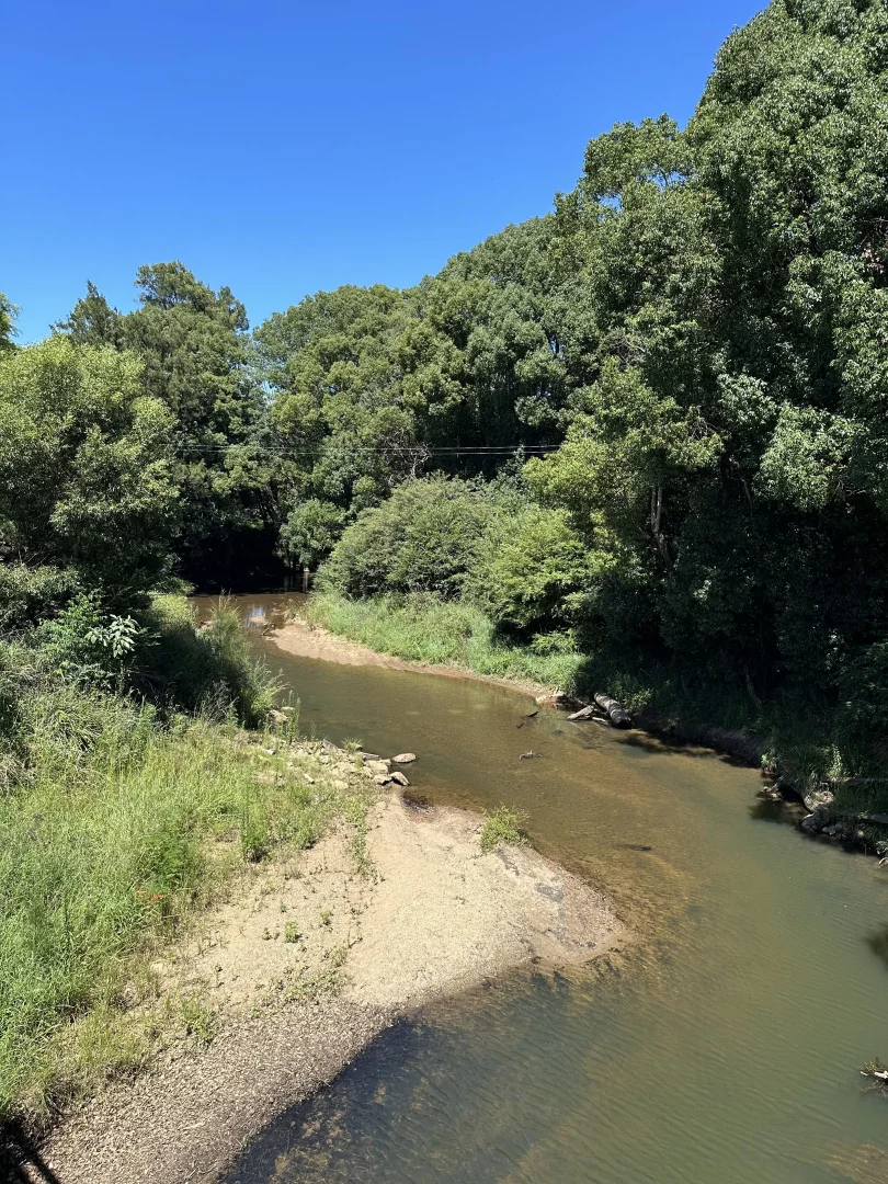 Additional image 19 of 2329 Orara Way, Glenreagh NSW 2450