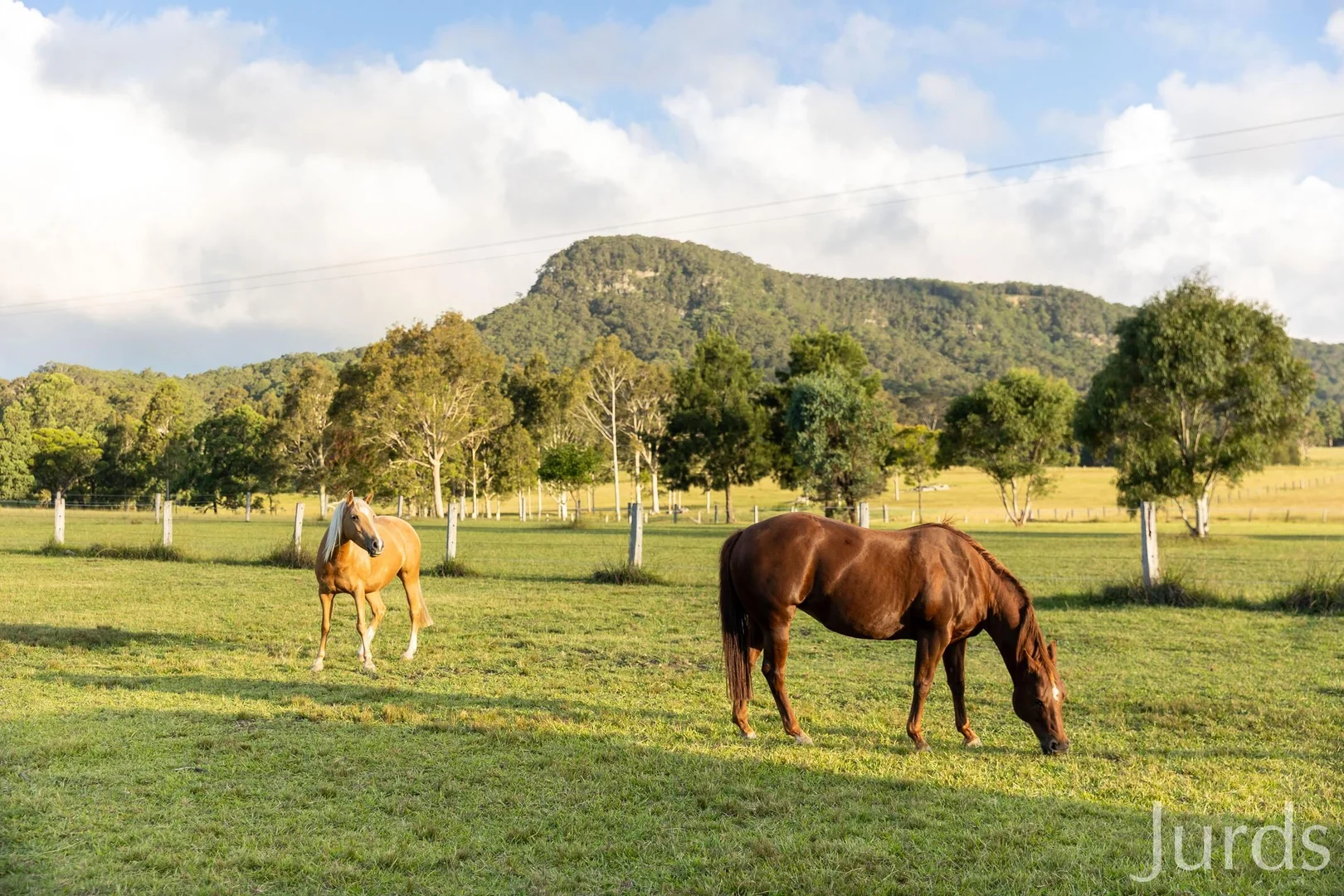 Additional image 36 of 256 Mill Lane, Quorrobolong NSW 2325