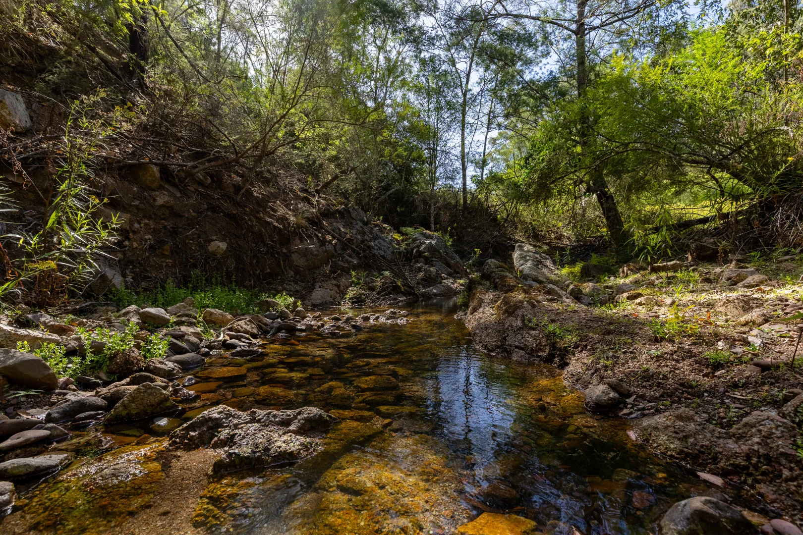 Additional image 4 of 464 Dorrigo Road, Brogo NSW 2550
