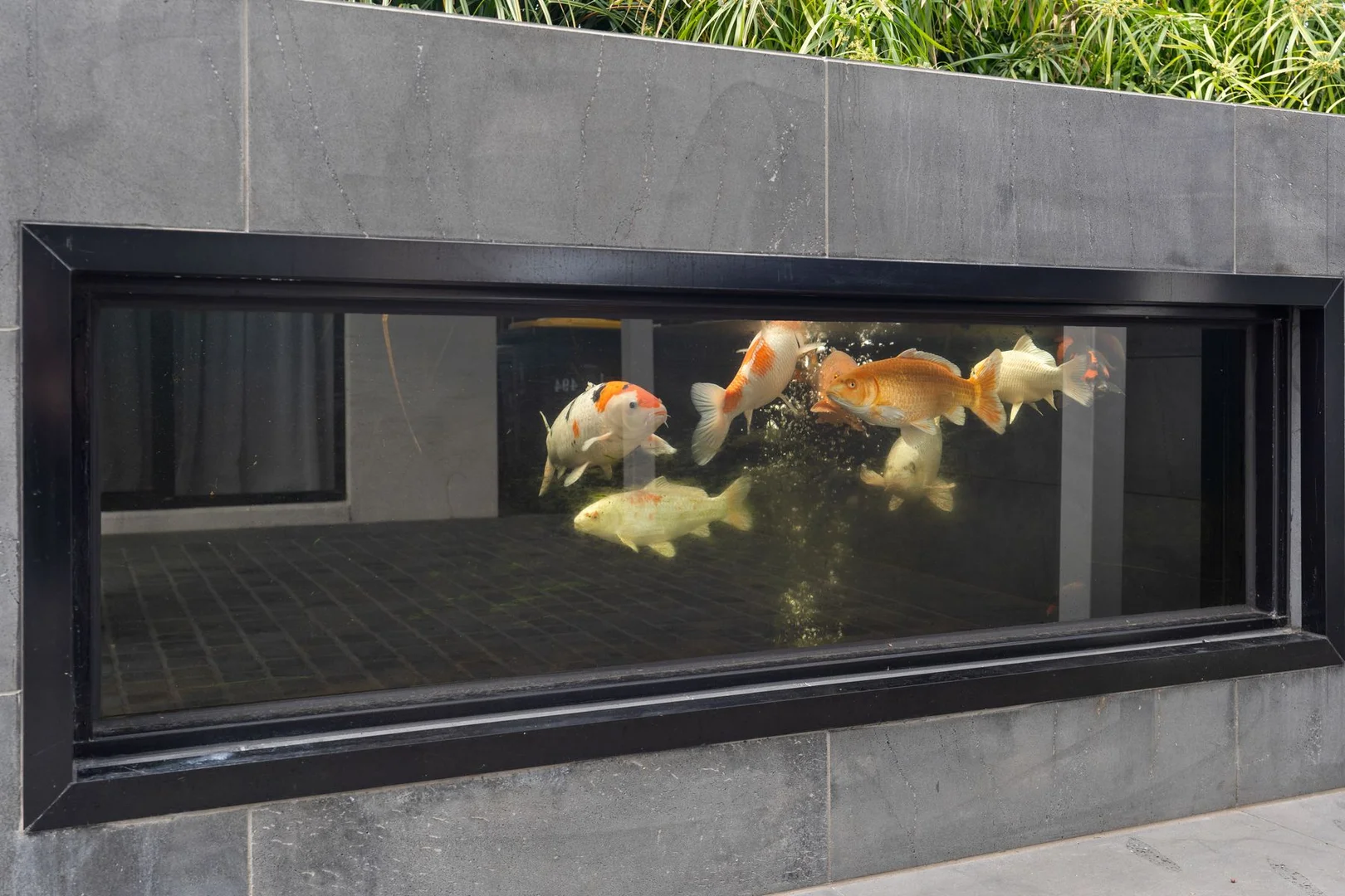 Additional image 18 of 1/494 Main Street, Mordialloc VIC 3195