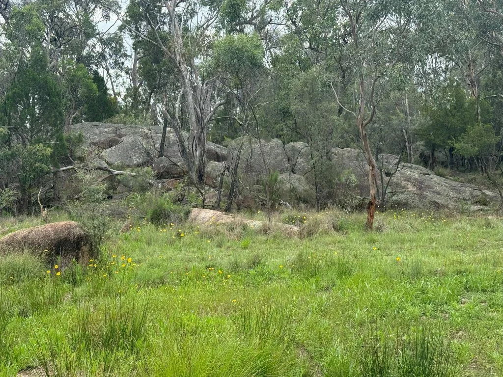 Additional image 16 of Lot/89 Fletcher Road, Ballandean QLD 4382