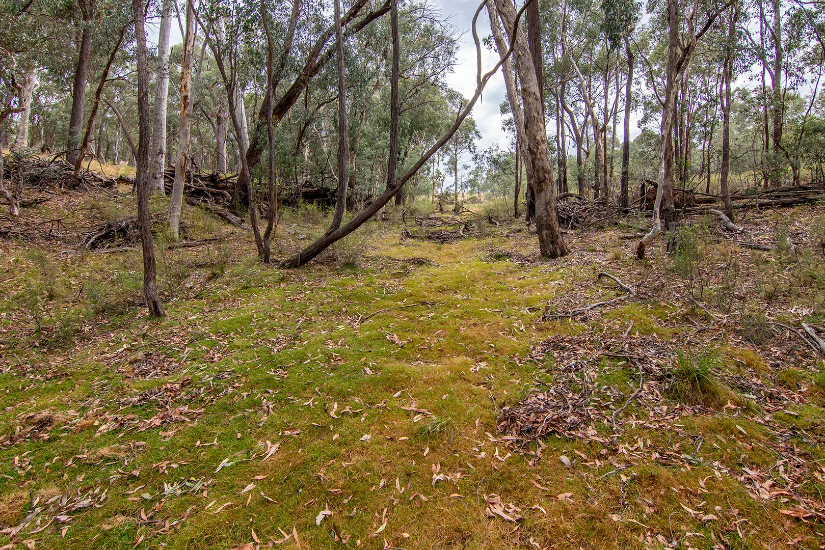 Additional image 17 of 855 Bonds Road, Mudgee NSW 2850