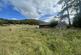 Additional image 3 of Land and buildings, Coombs Road, Bakewell