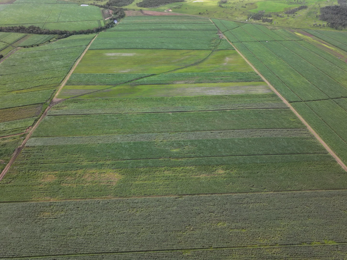 Additional image 6 of Lot 4 Wandarra Road, Foxdale QLD 4800