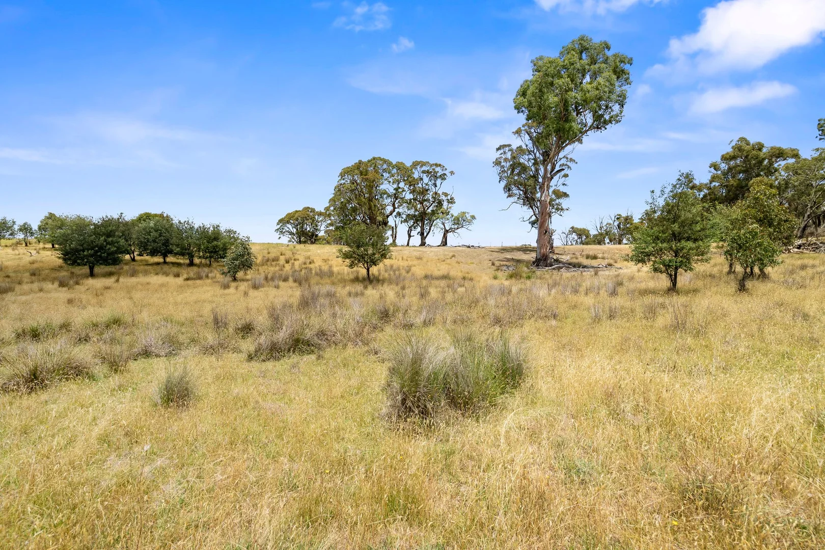 Additional image 8 of 171 Boongarra Road, Laggan via, Crookwell NSW 2583