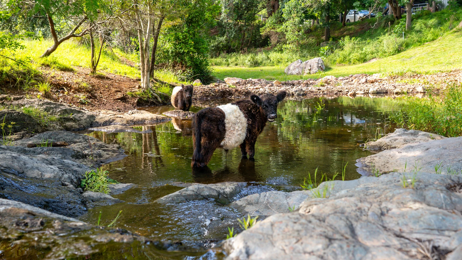 Additional image 3 of Wherrol Flat NSW 2429