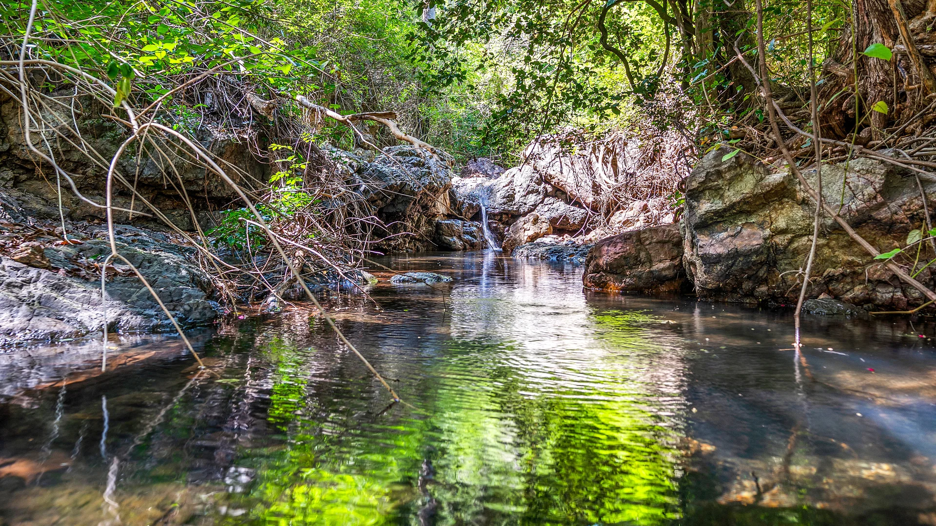 Additional image 20 of Wherrol Flat NSW 2429