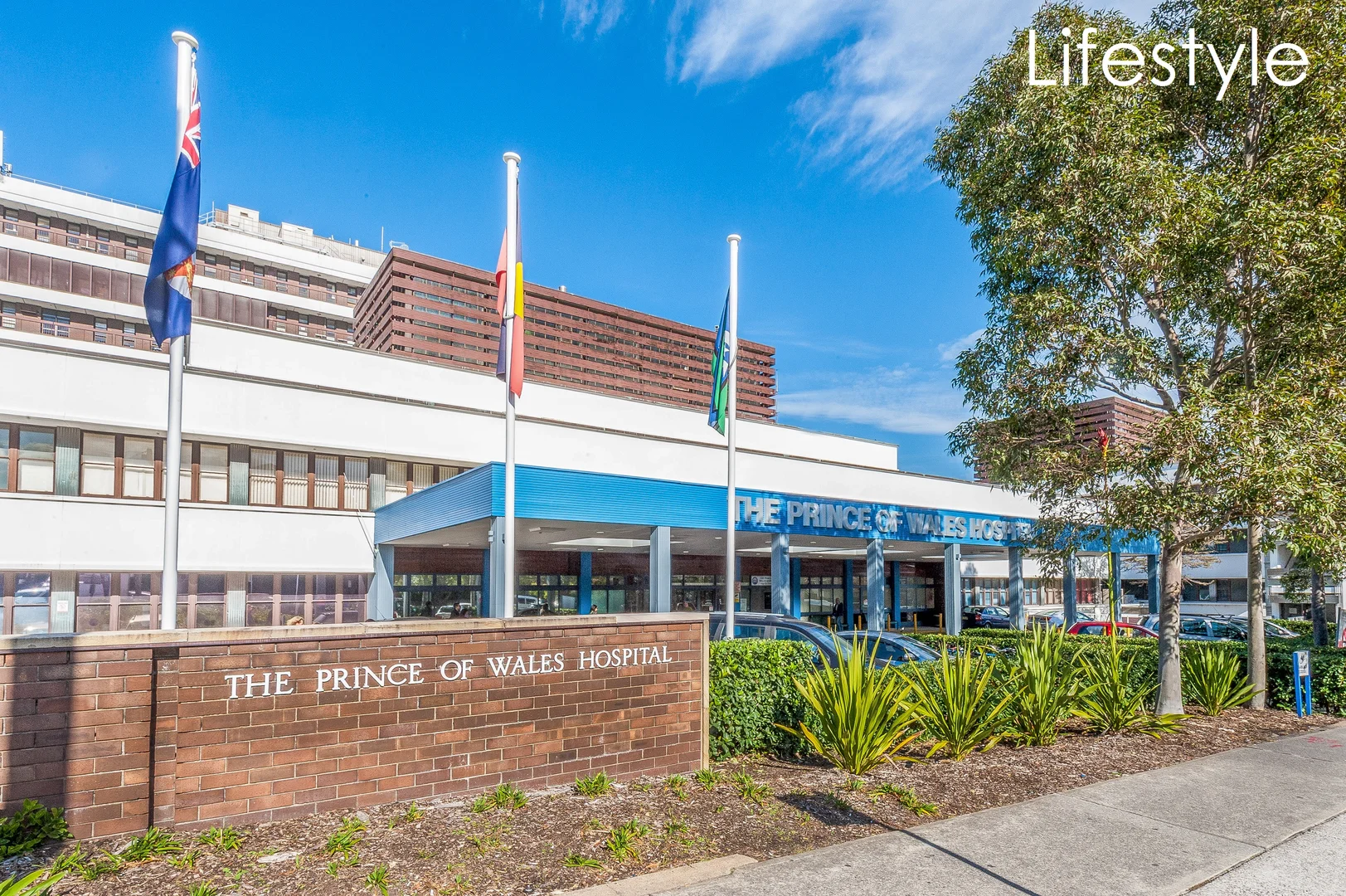 Additional image 16 of 9 Hay Street, Randwick NSW 2031