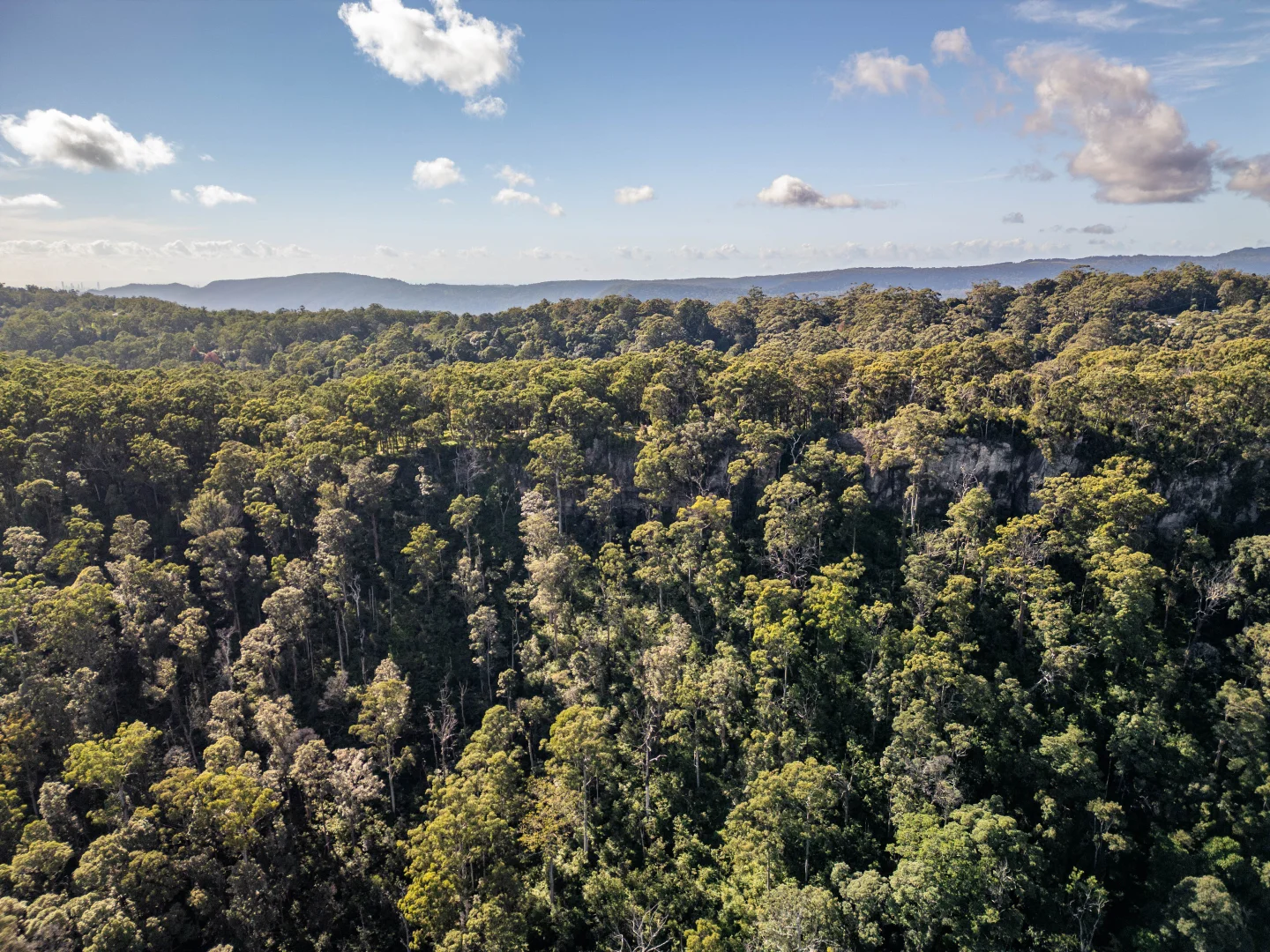 Additional image 14 of 618 Binna Burra Road, Beechmont QLD 4211