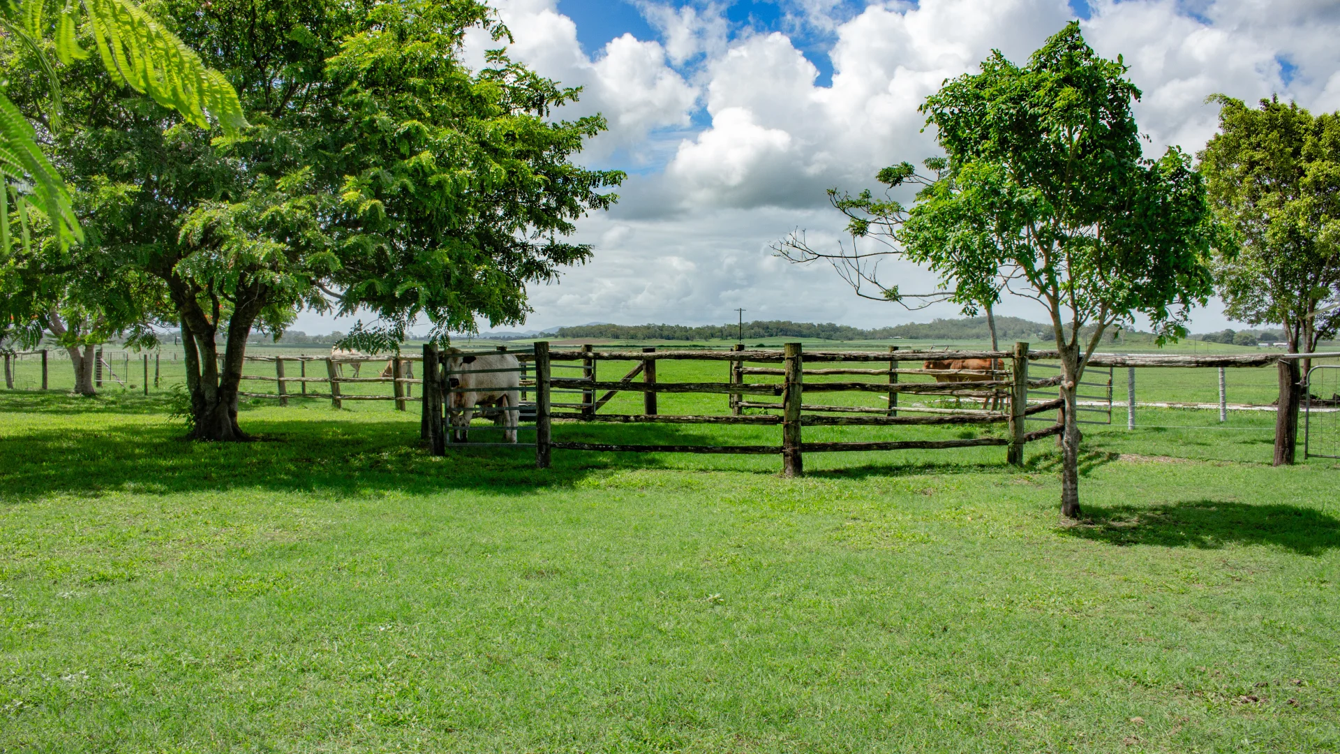 Additional image 19 of 290 Bells Road, Palmyra QLD 4751