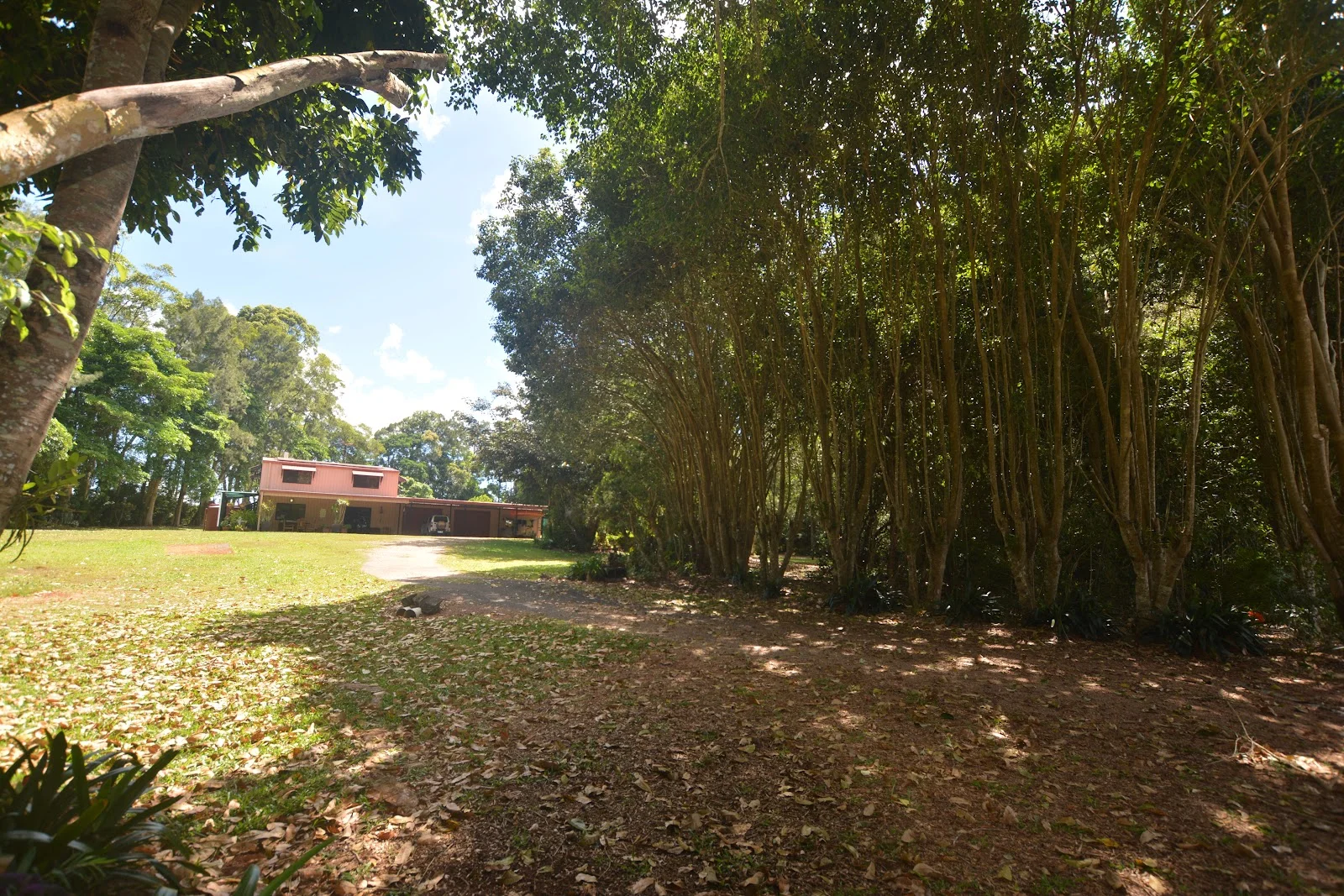Additional image 49 of 20 Russell Road, Lake Eacham QLD 4884