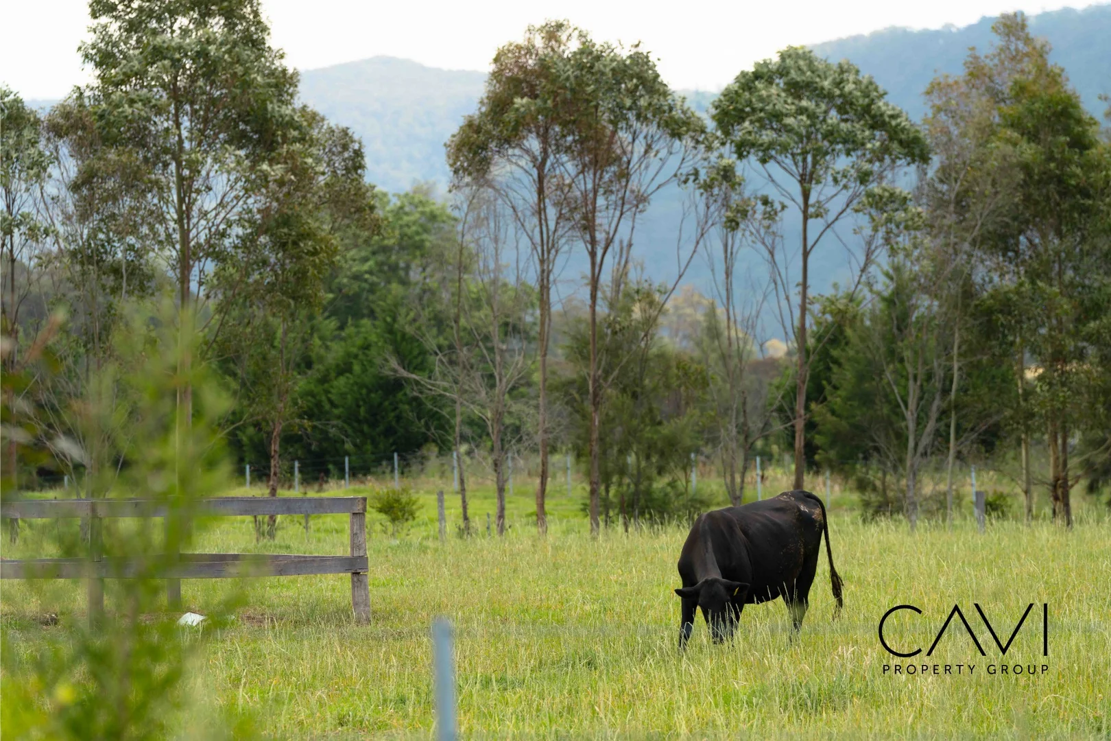 Additional image 9 of 86, 17 Downwind Street, Badagarang NSW 2540