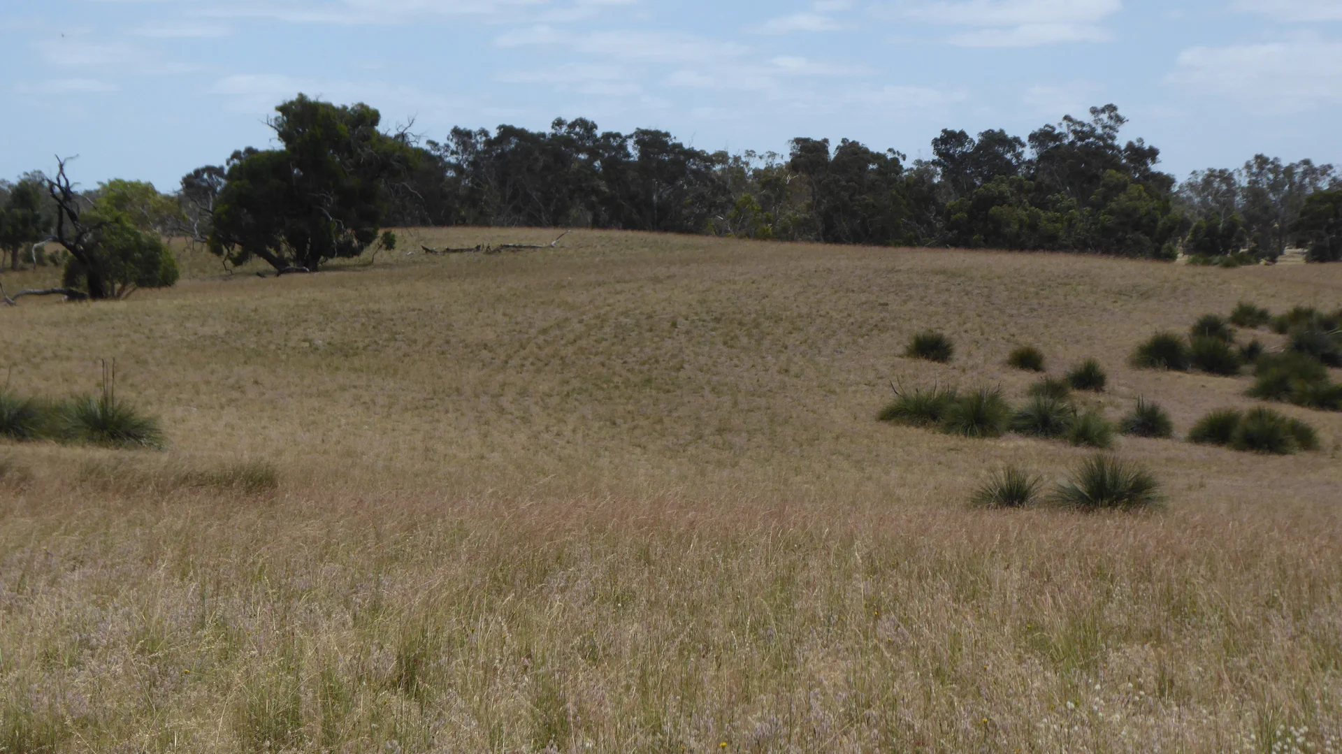 Additional image 13 of Lot 1 Walkington Hills Road, Frances SA 5262