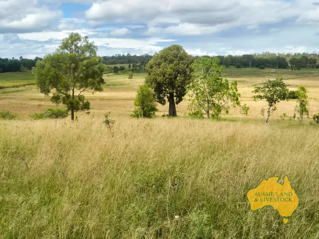 Additional image 39 of 296 Cloyna West Road, Cloyna QLD 4605