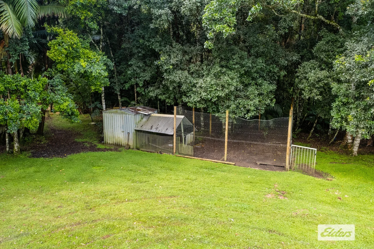 Additional image 22 of 1798 Dooralong Road, Lemon Tree NSW 2259