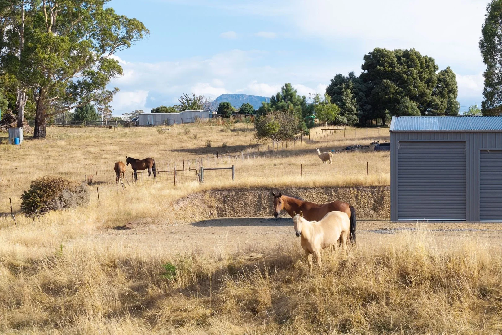 Additional image 6 of 121 Davis Road, Deloraine TAS 7304