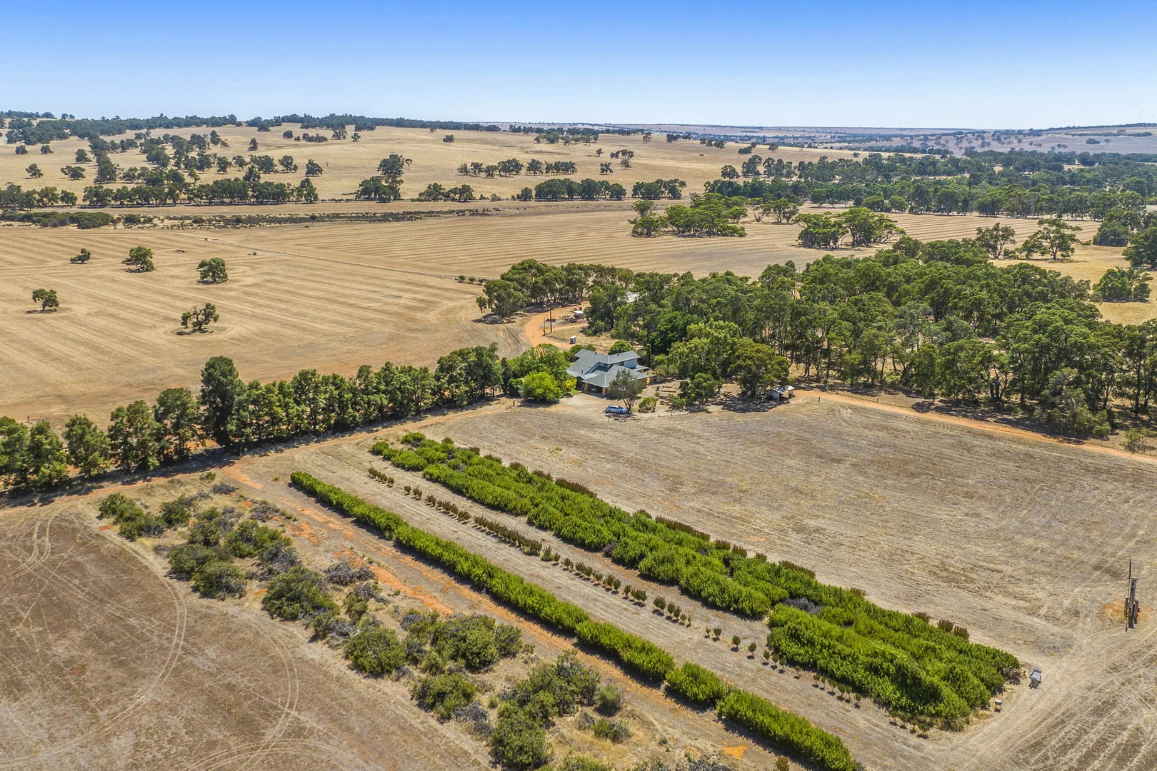 Additional image 3 of 89 Vine Cottage Lane, Dandaragan WA 6507