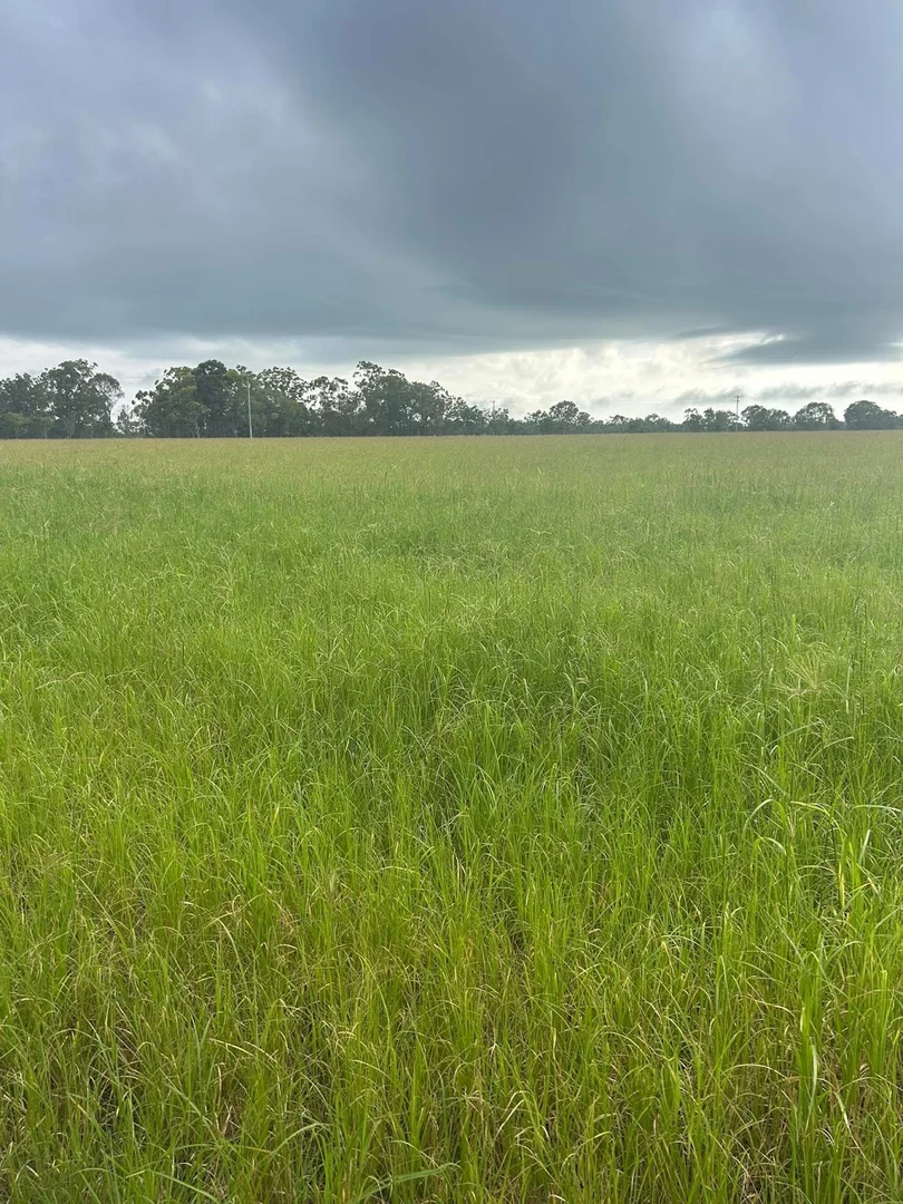 Additional image 7 of 30 McKenzies Road, North Isis QLD 4660